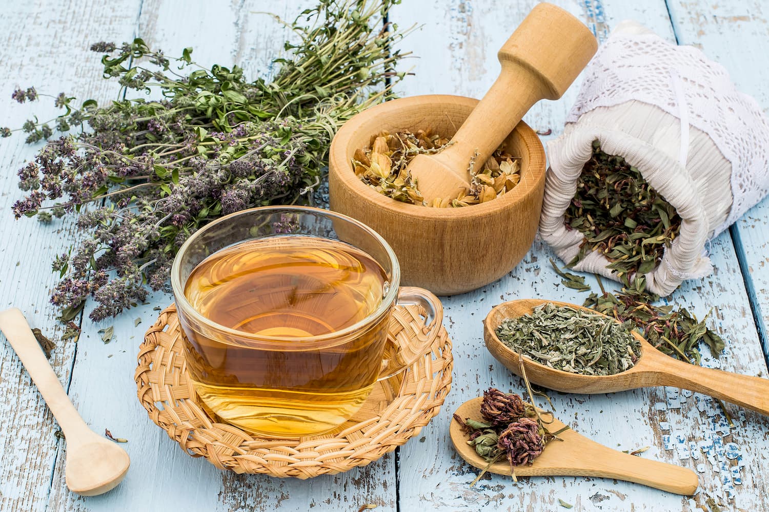 Phytothérapie : qu’est-ce que c’est au juste ?