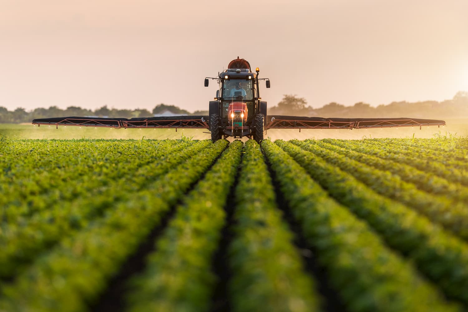 Les pesticides : ennemis de la santé